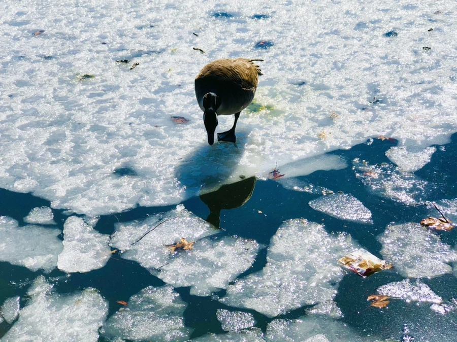 IMG_5048.jpg?type=w966