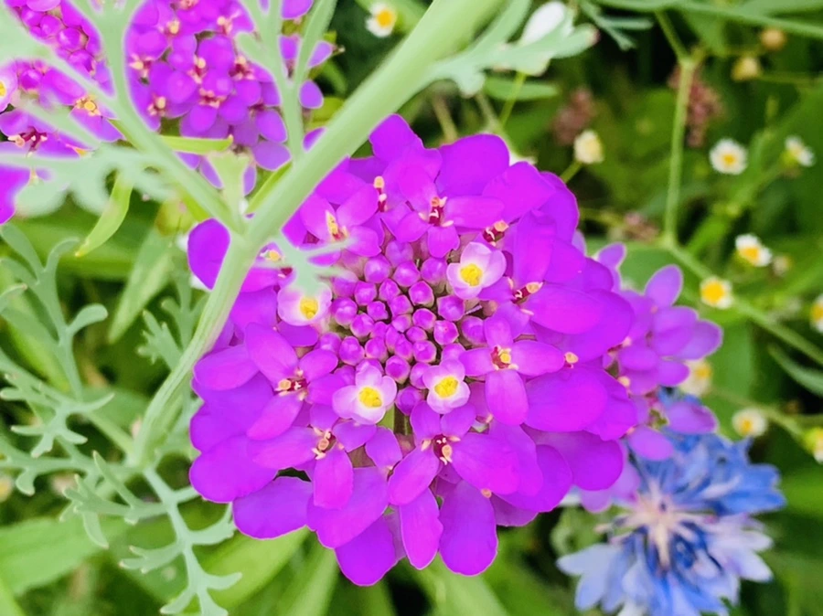 IMG_7241.jpg?type=w966