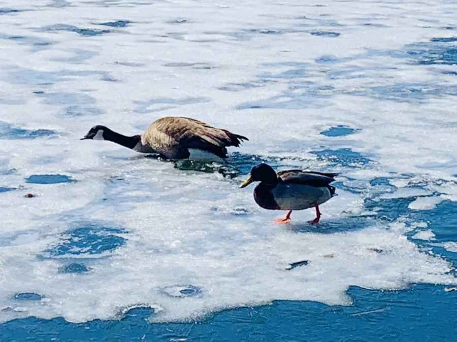 IMG_6881.jpg?type=w966