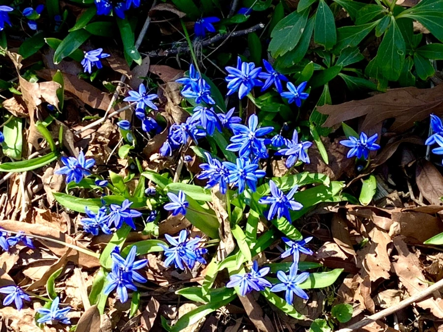 IMG_5763.jpg?type=w966