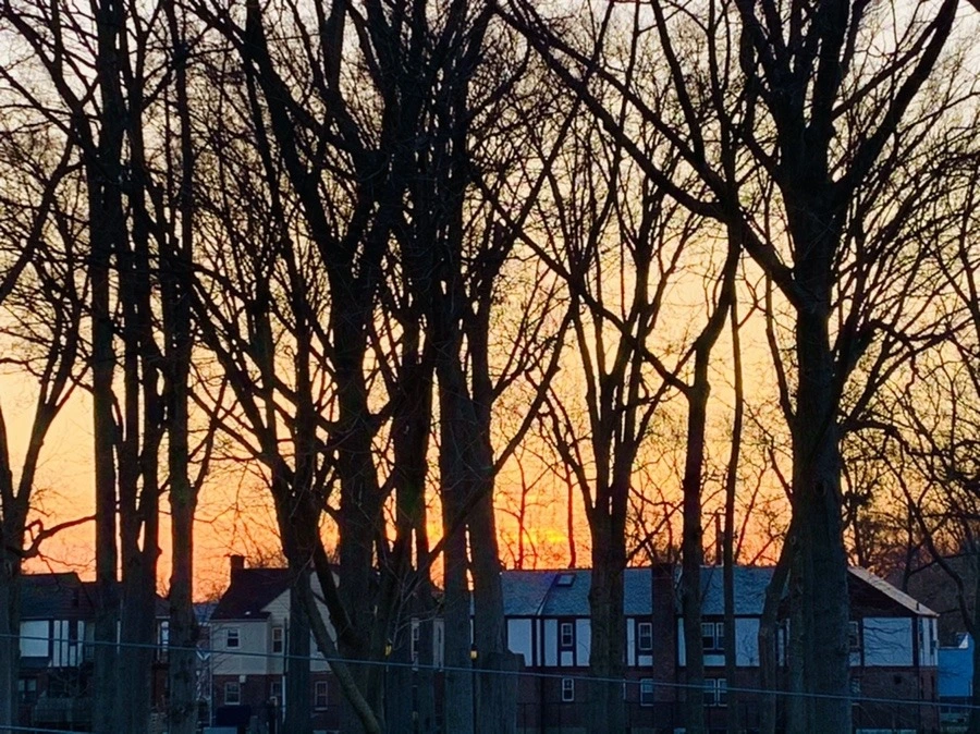 EyRoEZLq2yuuxh9TY-Y0n9HH-zQ