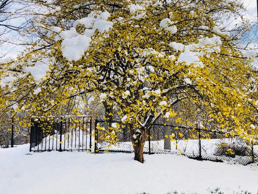 IMG_3494.jpg?type=w966