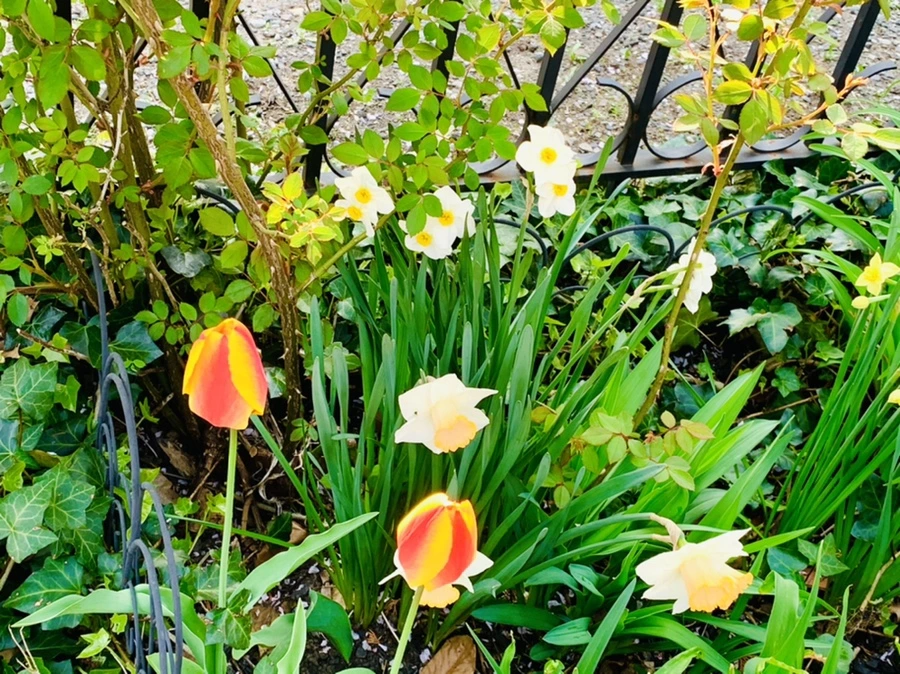 IMG_3634.jpg?type=w966