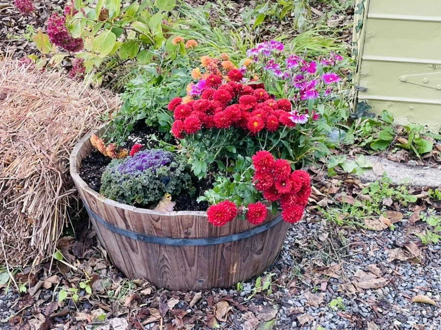 IMG_1010.jpg?type=w966