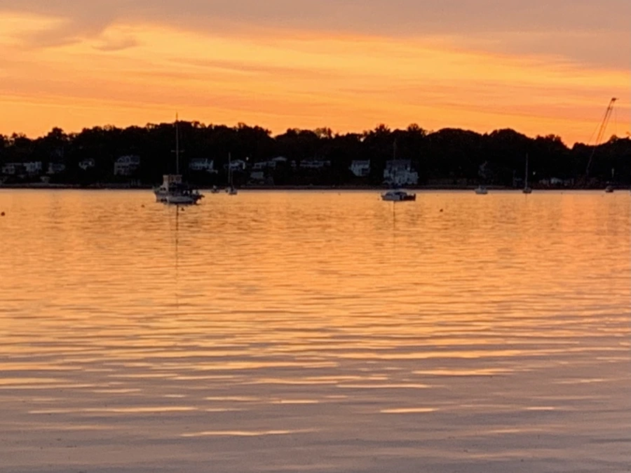 IMG_5879.jpg?type=w966