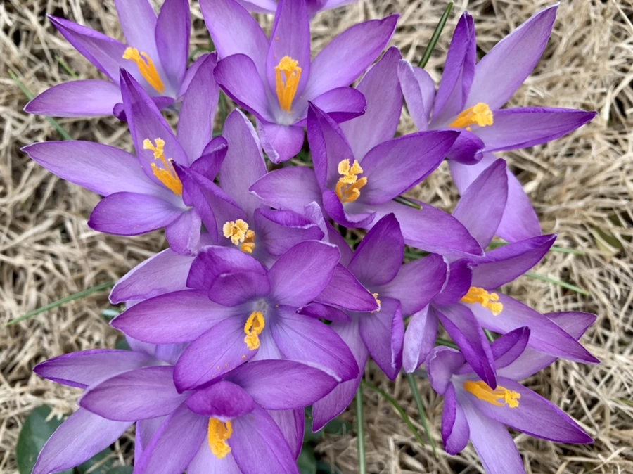 IMG_0544.jpg?type=w966