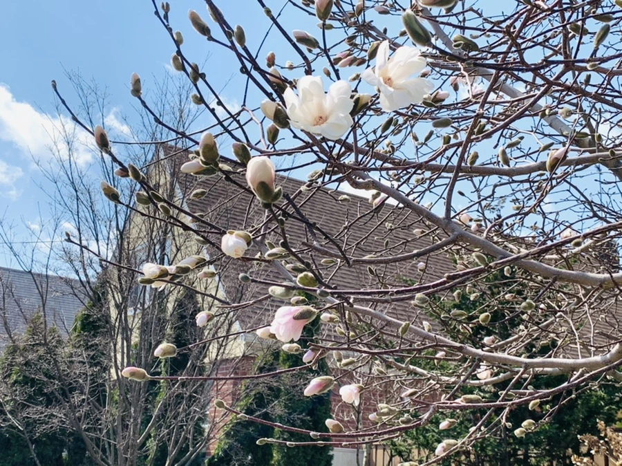 IMG_4350.jpg?type=w966