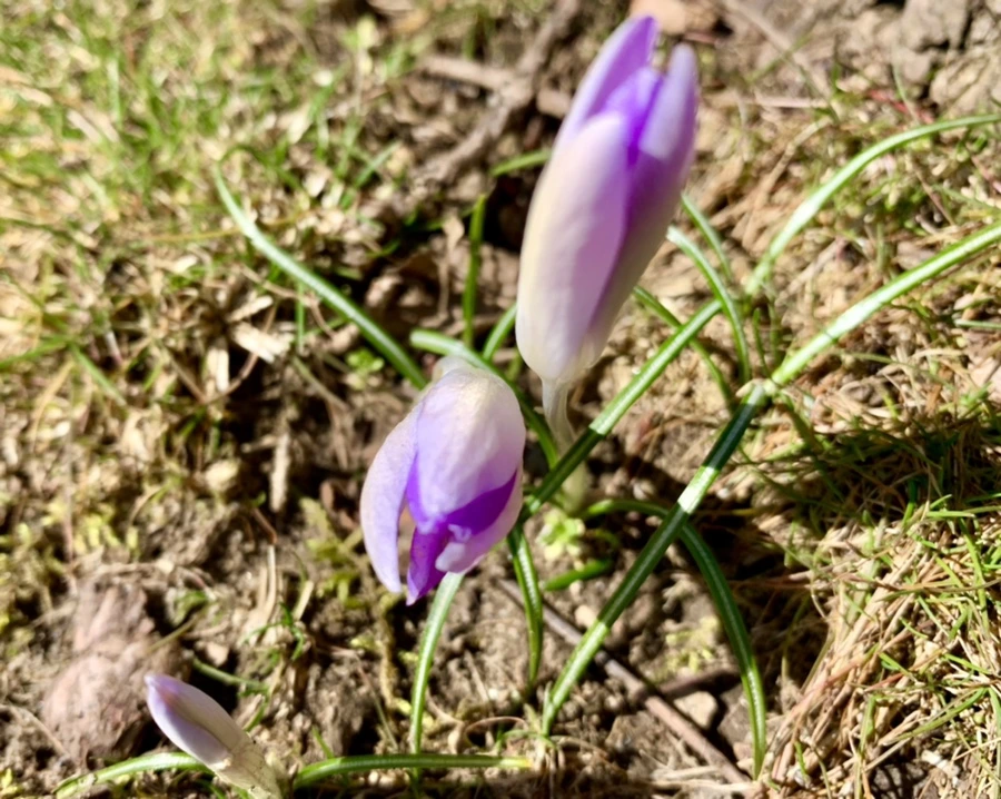 IMG_7465.jpg?type=w966