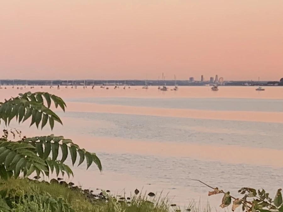 IMG_7485.jpg?type=w966