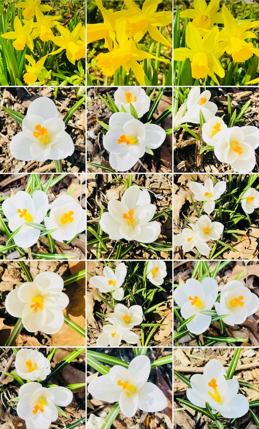 IMG_5655.jpg?type=w966