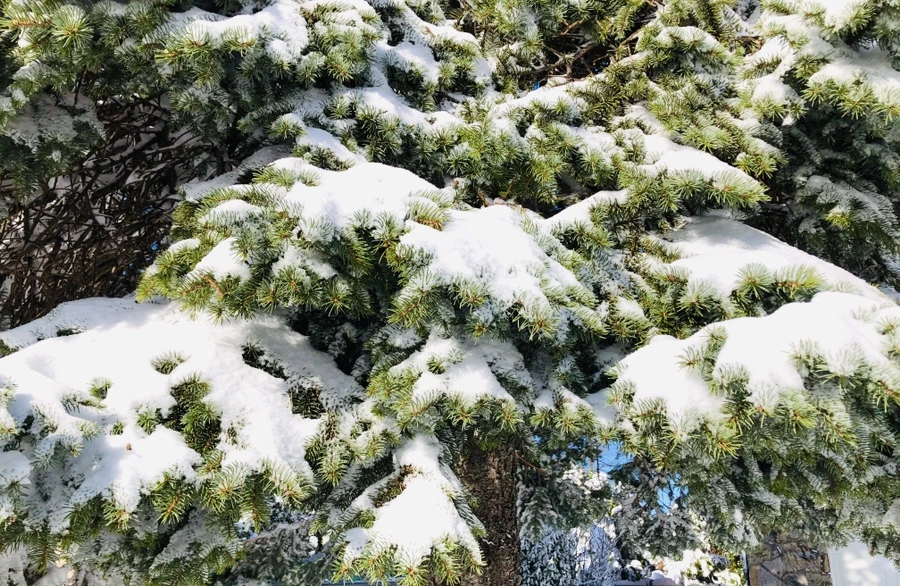 IMG_6969.jpg?type=w966