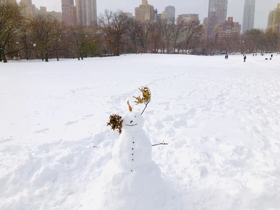 IMG_7133.jpg?type=w966