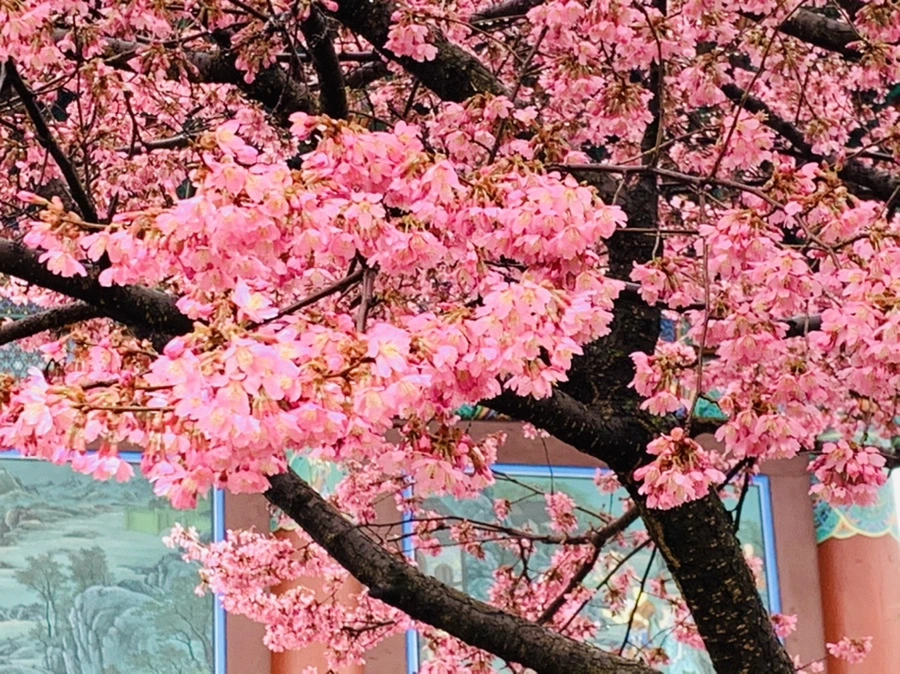 IMG_5238.jpg?type=w966