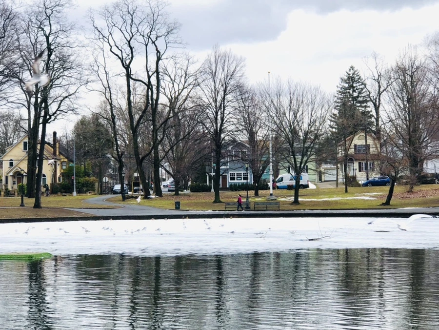 IMG_6433.jpg?type=w966