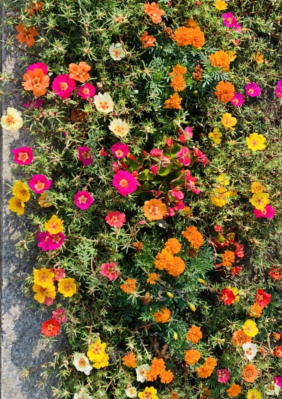 IMG_6639.jpg?type=w966