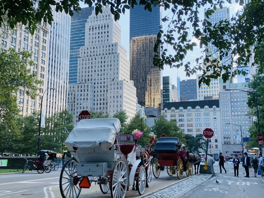 IMG_9723.jpg?type=w966