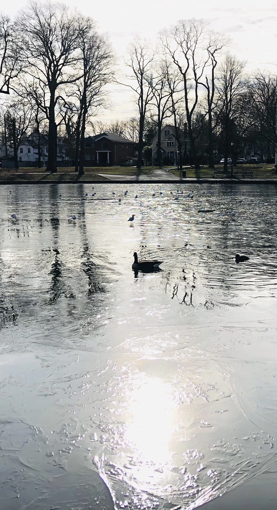 IMG_8457.jpg?type=w966