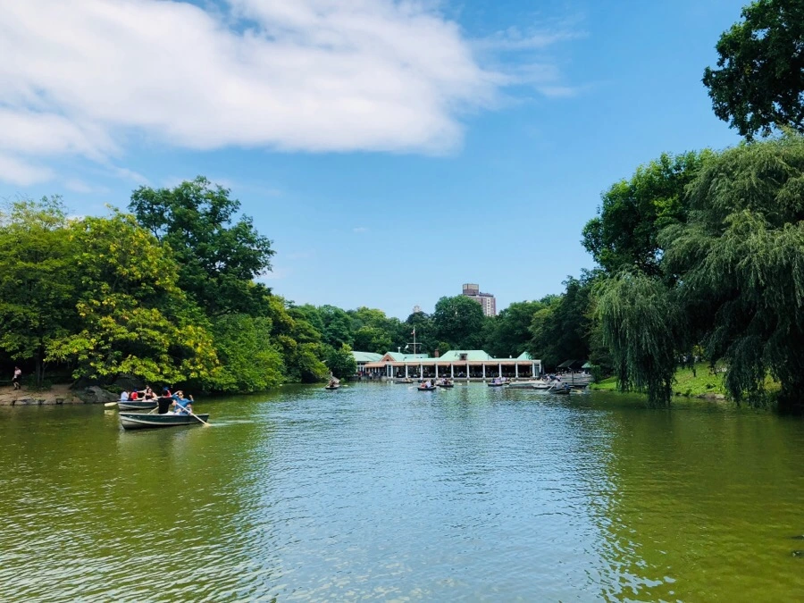 IMG_3728.jpg?type=w966