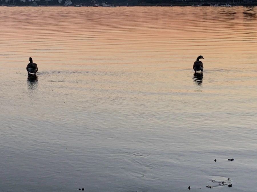 IMG_0091.jpg?type=w966