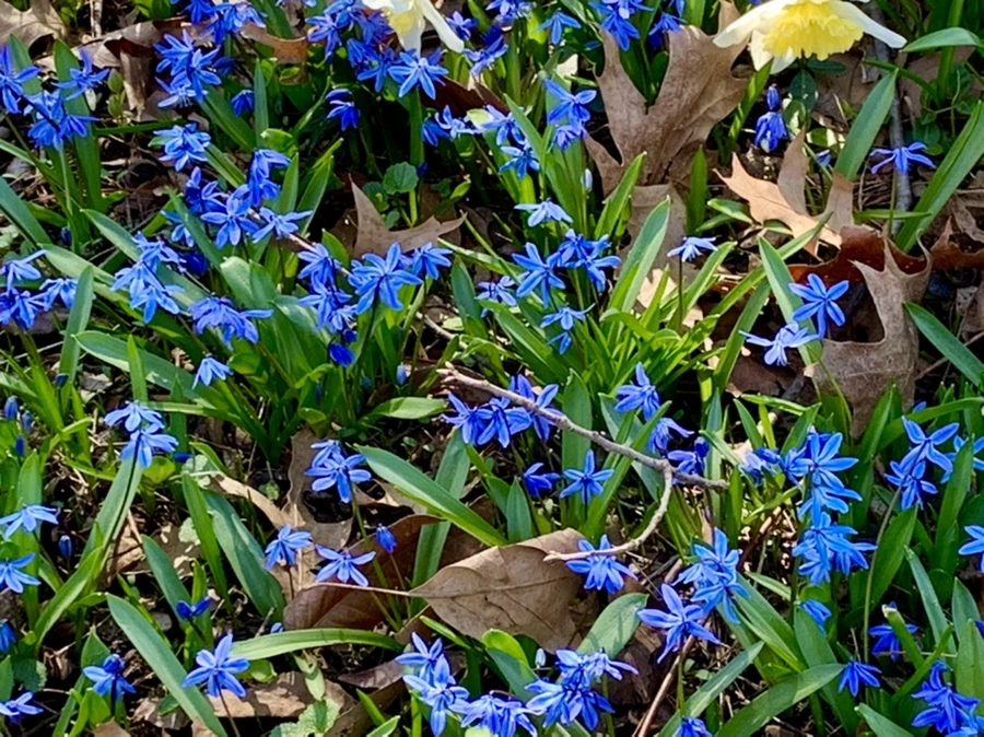 IMG_5756.jpg?type=w966