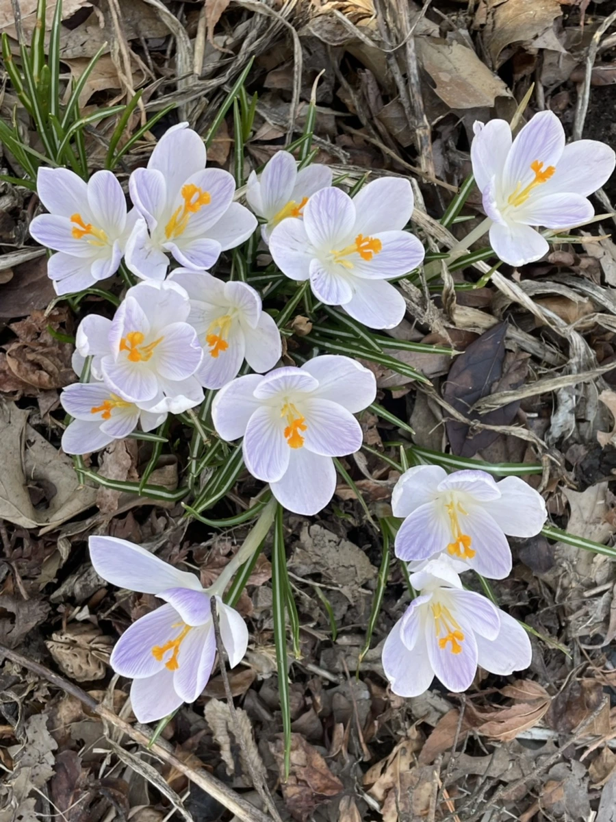 IMG_5873.jpg?type=w966