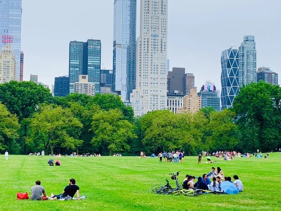 IMG_3349.jpg?type=w966