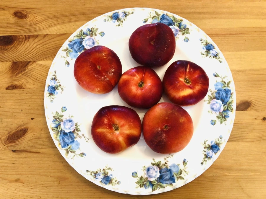 IMG_1701.jpg?type=w966