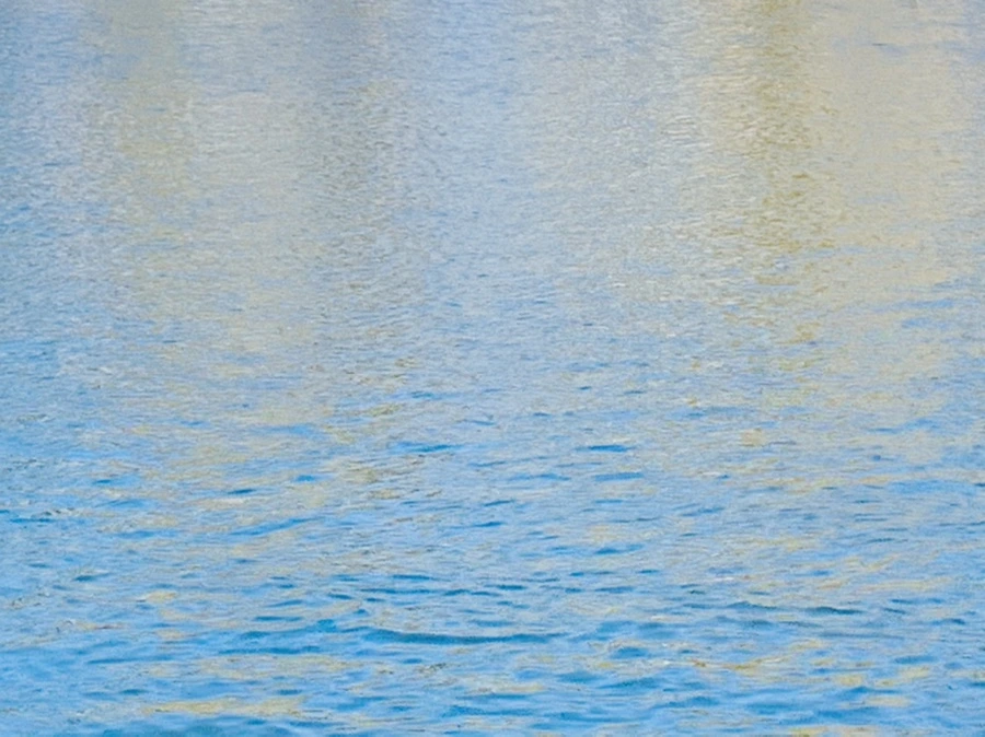 IMG_9903.jpg?type=w966