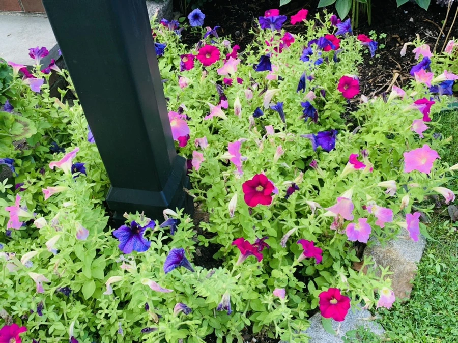 IMG_0876.jpg?type=w966