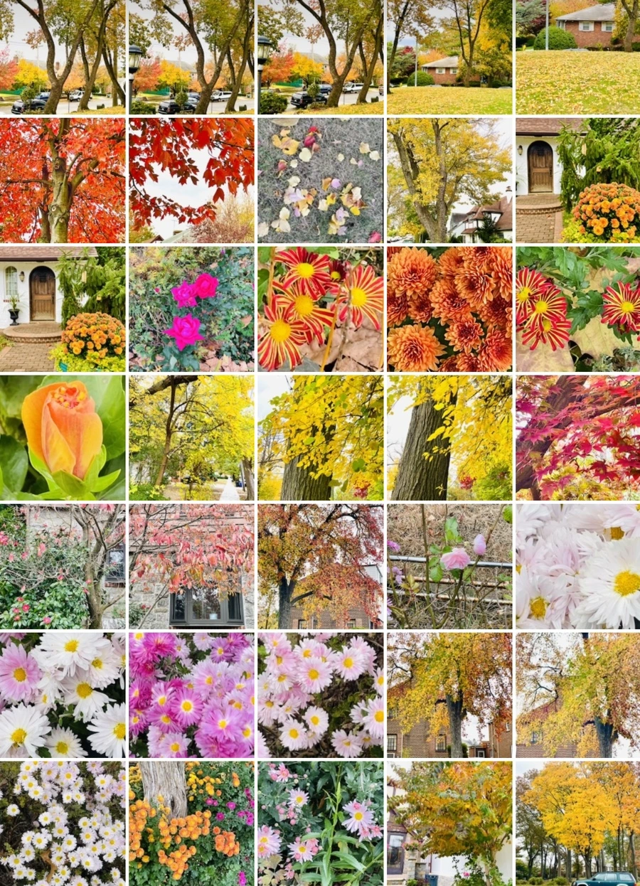 IMG_2514.jpg?type=w966