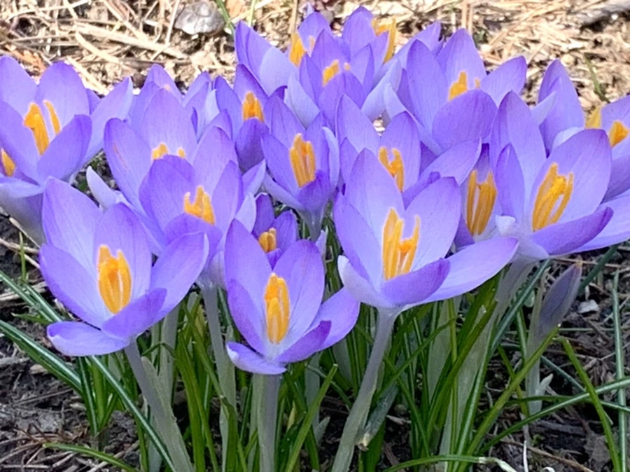 IMG_0211.jpg?type=w966