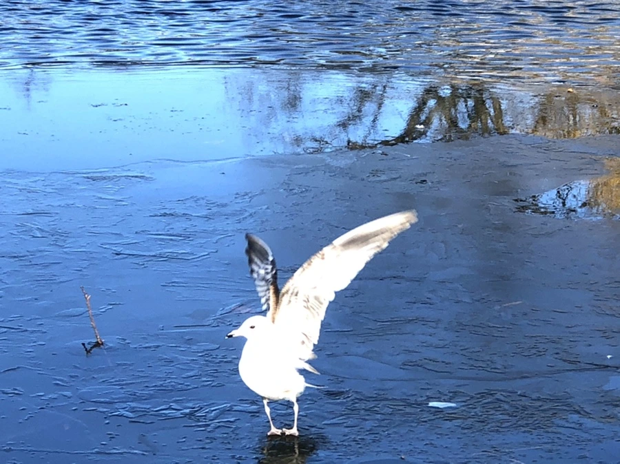 IMG_0555.jpg?type=w966