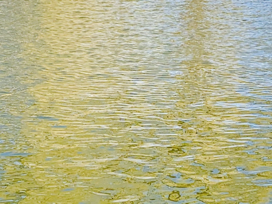 IMG_3066.jpg?type=w966