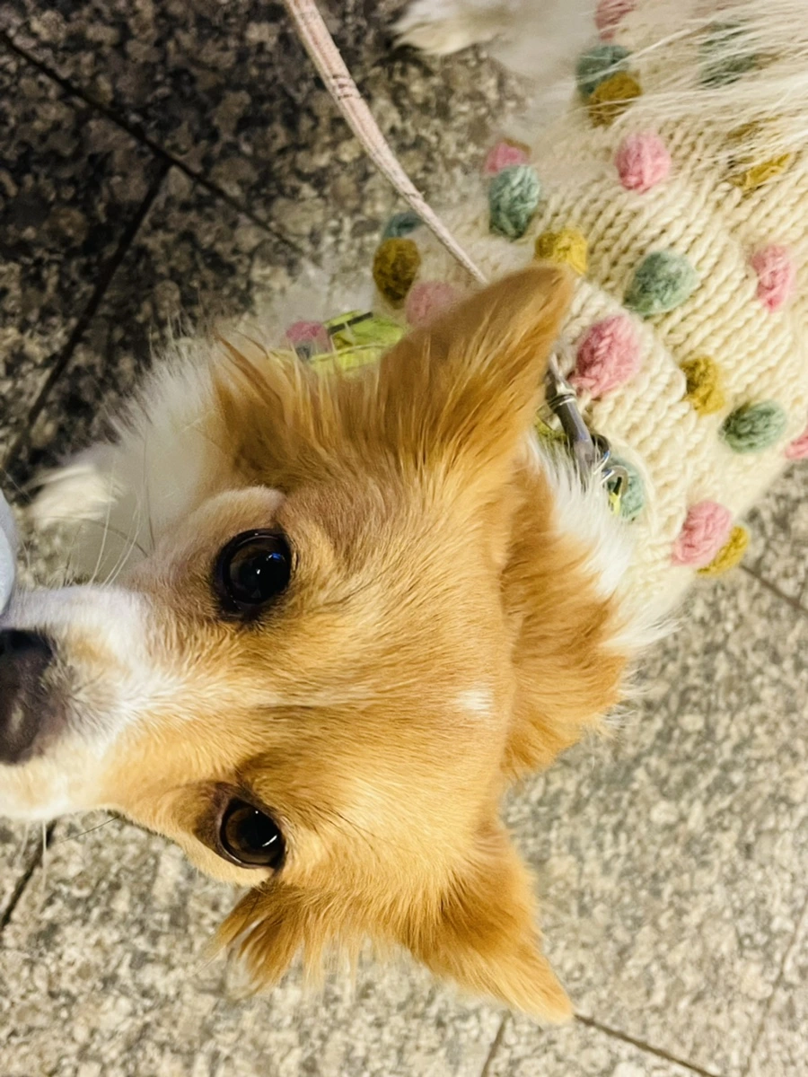 IMG_4502.jpg?type=w966