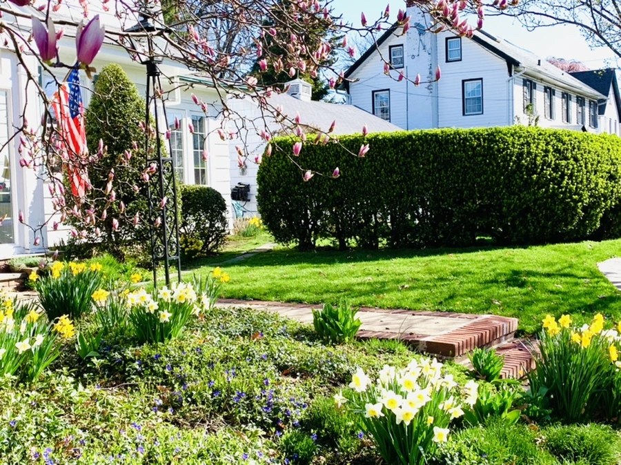 IMG_7507.jpg?type=w966