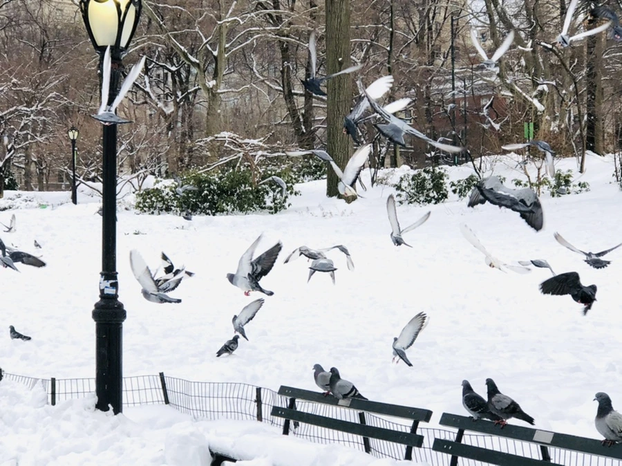 IMG_9136.jpg?type=w966