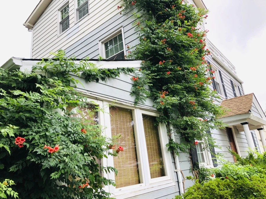 IMG_2035.jpg?type=w966