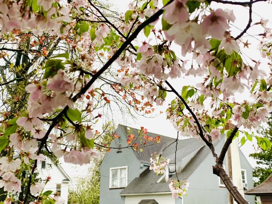 IMG_2414.jpg?type=w966