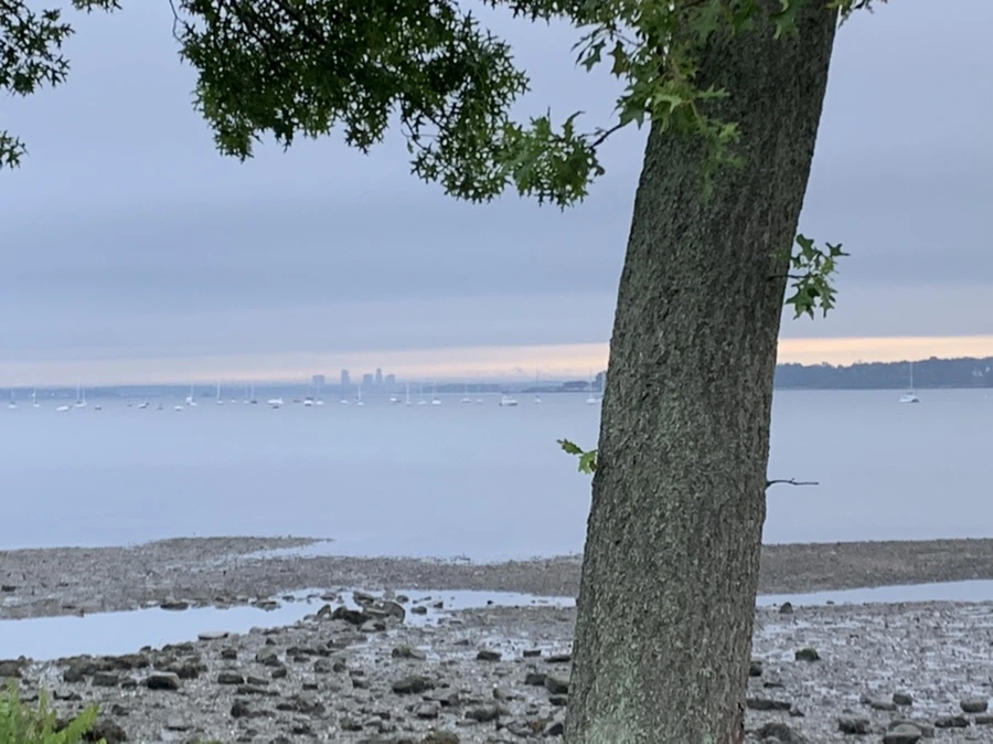 IMG_9768.jpg?type=w966