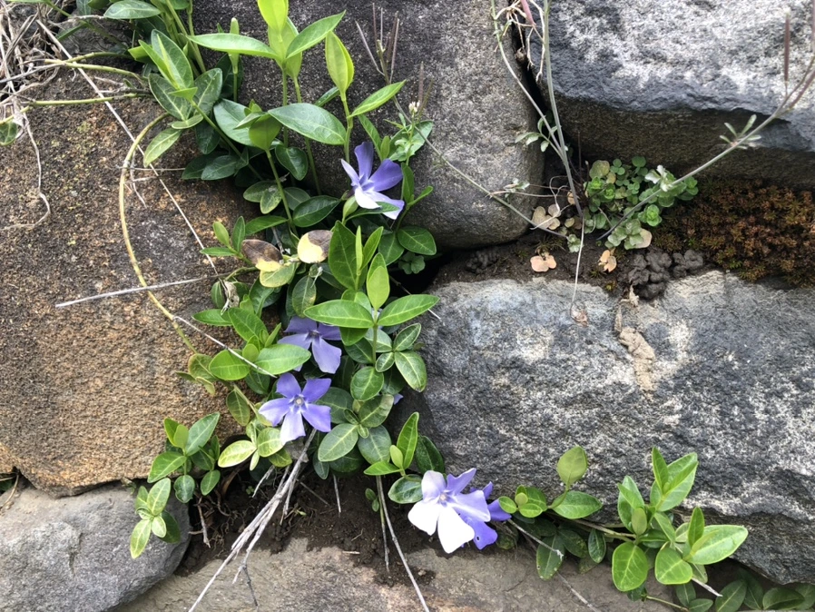 IMG_6536.jpg?type=w966