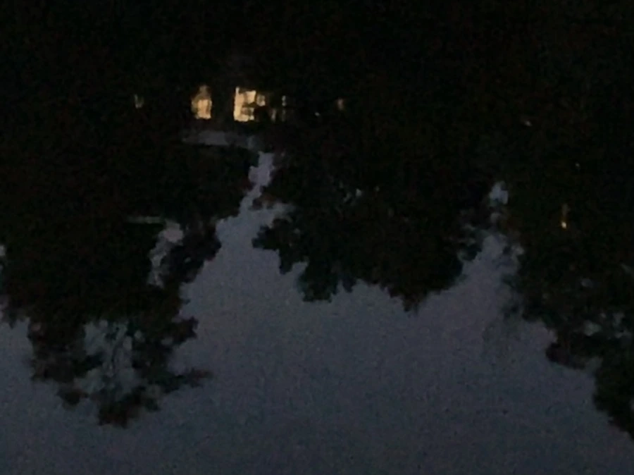 IMG_5297.jpg?type=w966