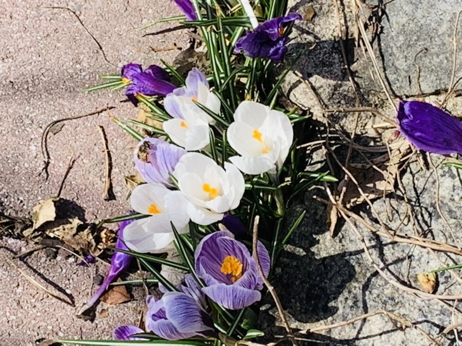 IMG_3288.jpg?type=w966