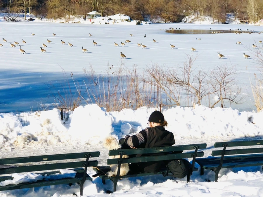 IMG_9883.jpg?type=w966