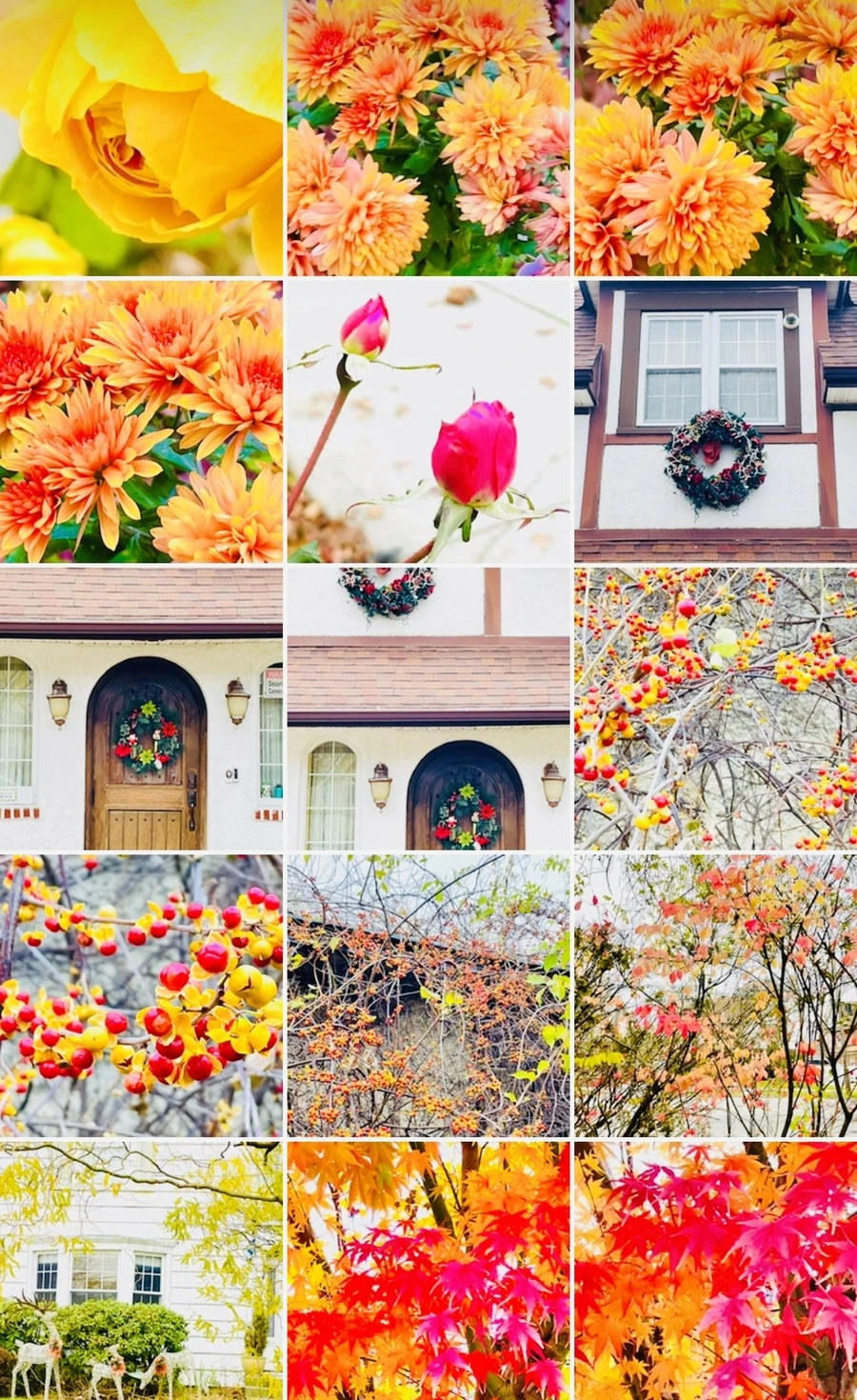 IMG_6227.jpg?type=w966