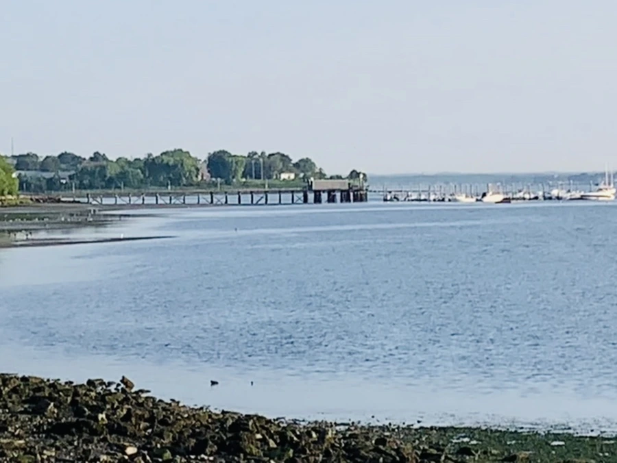 IMG_9849.jpg?type=w966