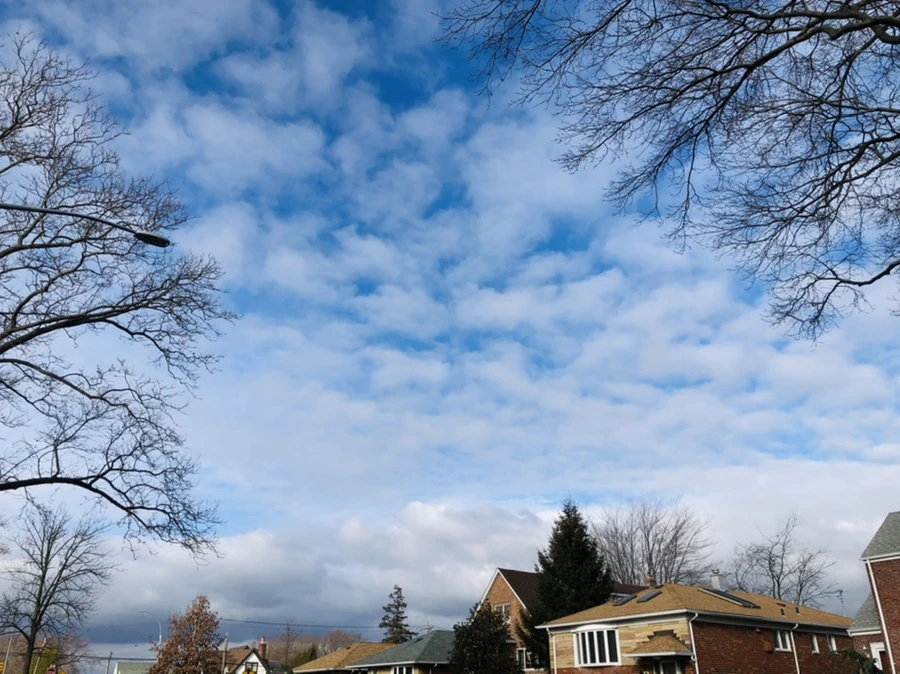 IMG_9857.jpg?type=w966