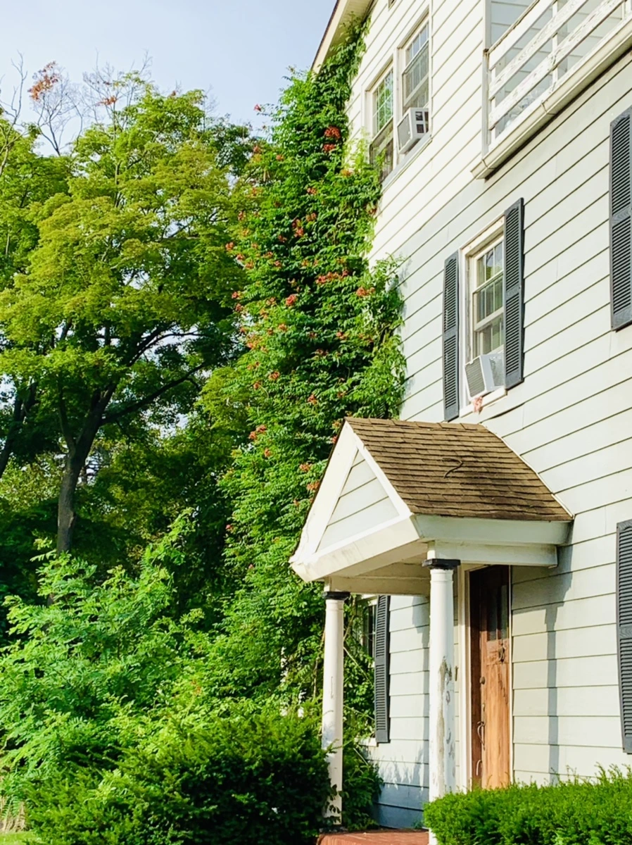 IMG_5708.jpg?type=w966