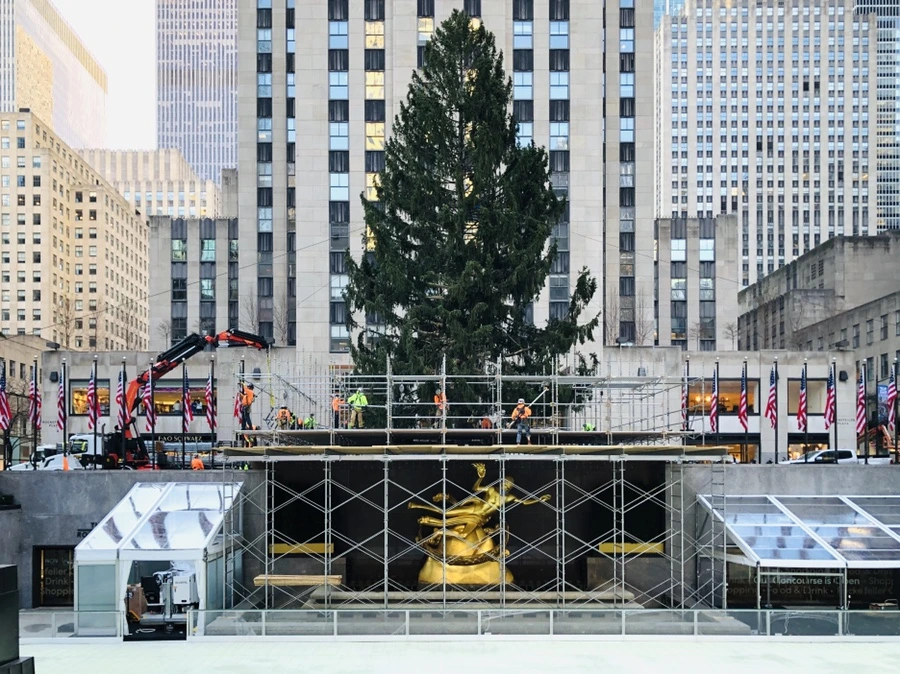 IMG_4728.jpg?type=w966