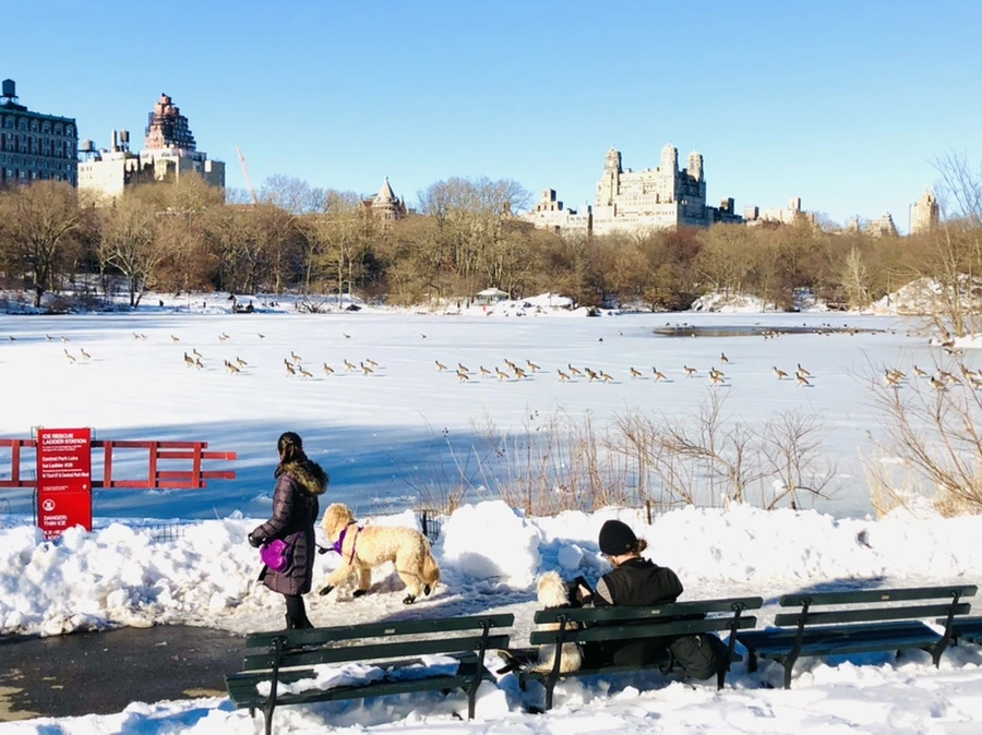 IMG_9868.jpg?type=w966