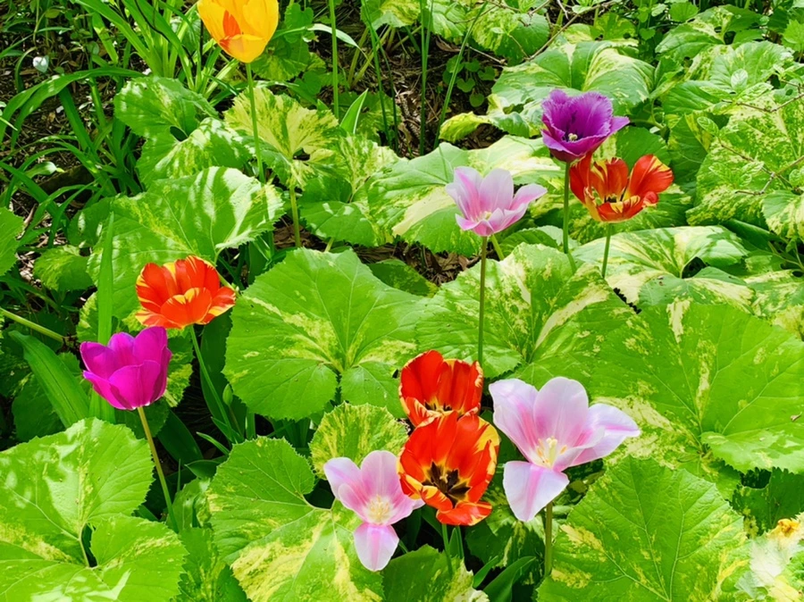 IMG_6864.jpg?type=w966